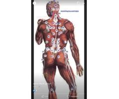 Massage relaxant - 2